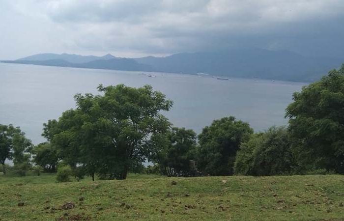 Pemandangan Nyuh Ngawit